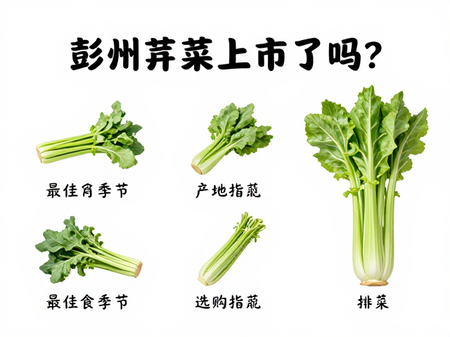 产地溯源与选购实操要点