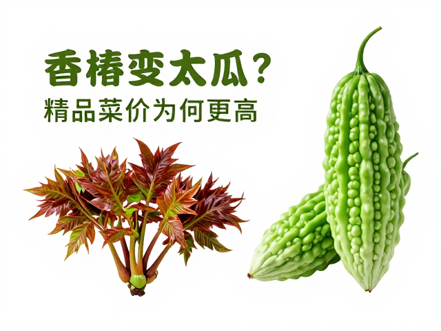 香椿与苦瓜的价差迷思