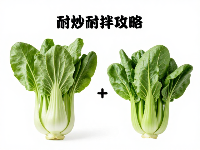 小白菜与空心菜的物理特性差异