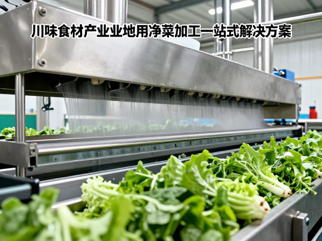 净菜加工流水线的卫生设计与节水循环