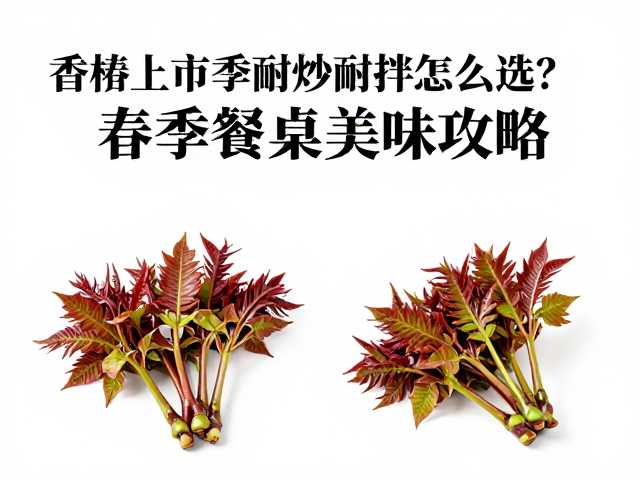 耐炒与耐拌的品种特性与场景适配