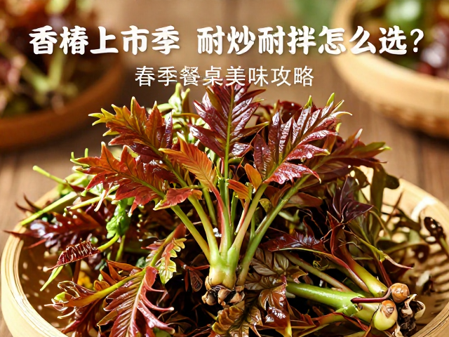 香椿挑选与处理：从田间到餐桌的保鲜法则