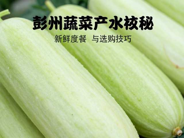选购冬瓜的水分鉴别技巧