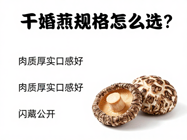 干香菇外观形态与等级标准