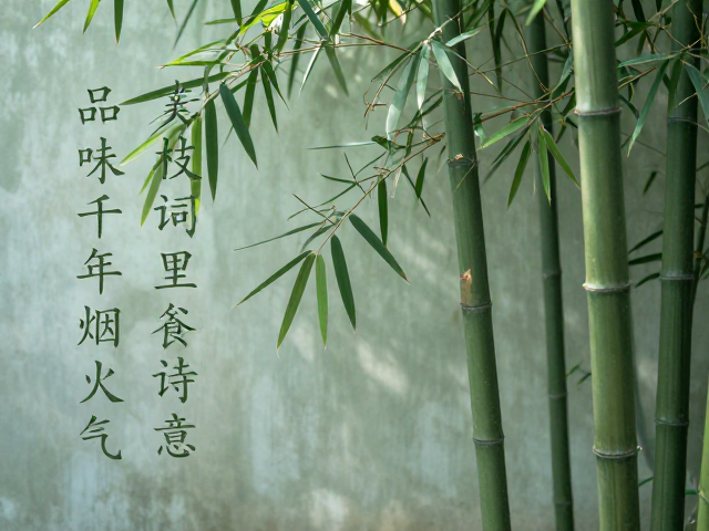 竹影摇曳处的市井清欢