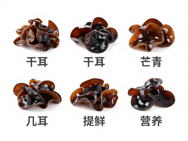 干木耳的挑选标准与营养留存要点