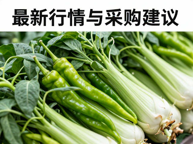 近期辣椒青菜头产地供应态势分析