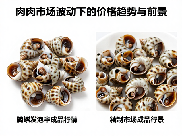 未来前景与市场规范化发展