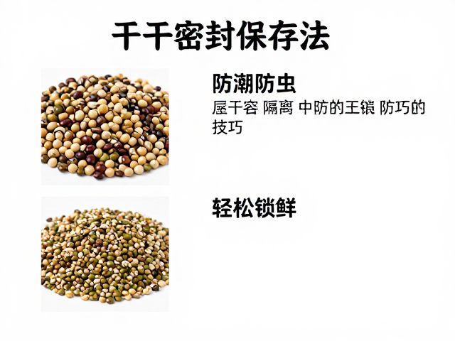 环境控制与防潮隔离技巧