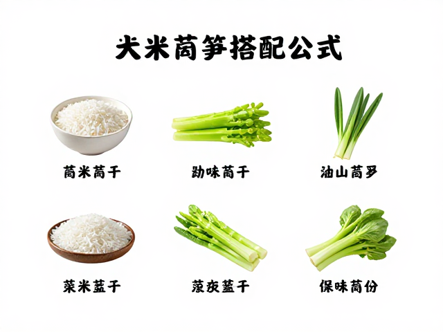 常见失败原因与补救措施