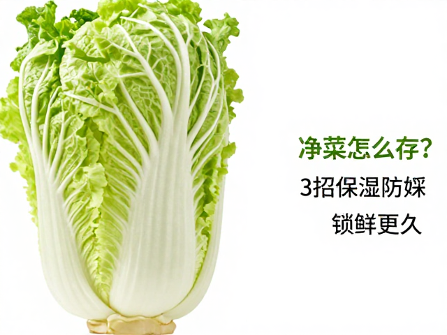 根部处理与水分保留技巧