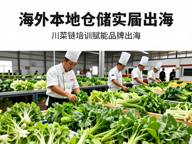 供应链协同与合规准入的实战路径