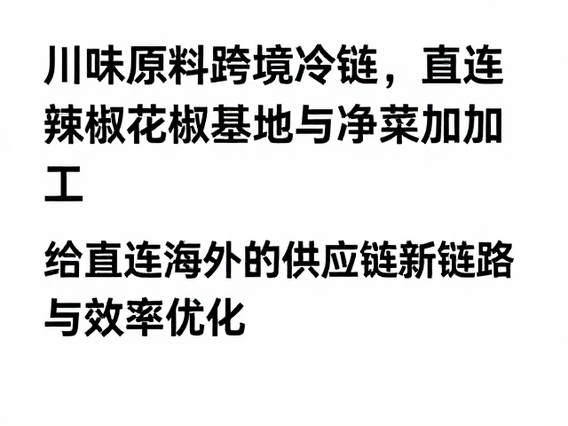 构建直连海外的供应链新链路与效率优化