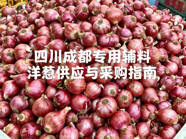 成都洋葱辅料的市场定位与产业背景