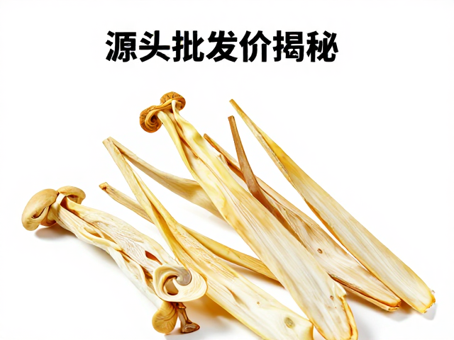 源头批发价格的影响维度与成本构成解析