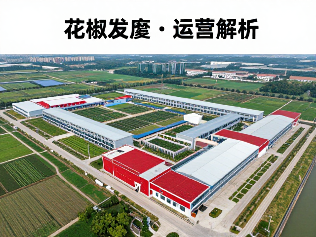 花椒辣椒产业园，冷冻食材周转与泡椒发酵工厂一体化运营解析