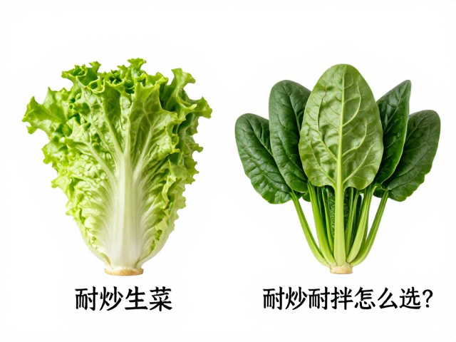 烹饪时间与火候控制技巧
