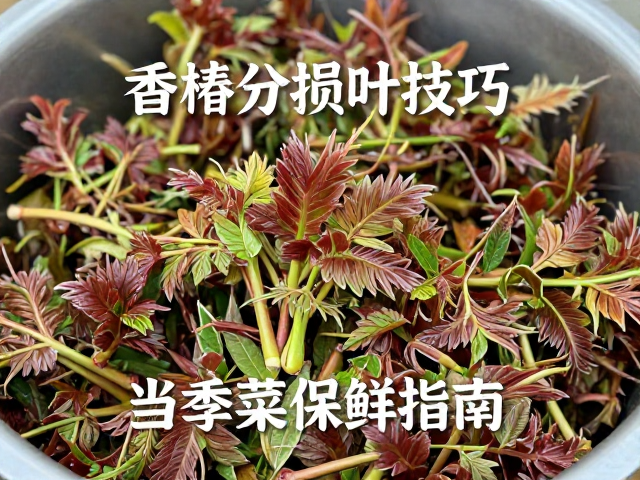 低温保鲜与储存环境控制