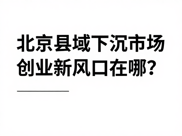 产品策略：去高端化与极致性价比的平衡