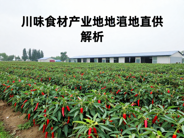直供模式下的物流与仓储体系