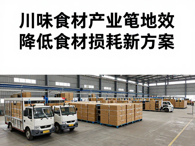 包装革新与标准化物流流程