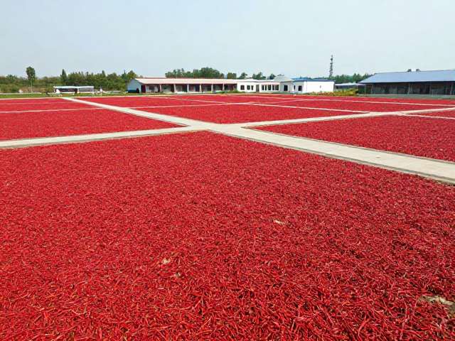 花椒辣椒标准化产业园，火锅底料加工赋能B端团餐供应