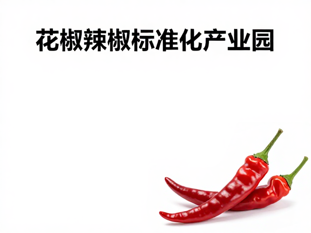 数据支撑下的质量控制体系与合规性建设