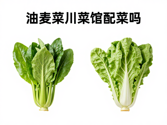 食材搭配的科学逻辑与风味平衡