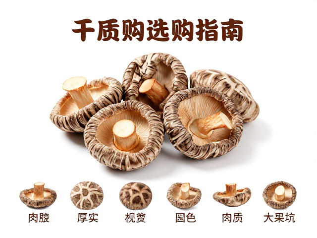 干香菇的等级规格与肉质对应关系