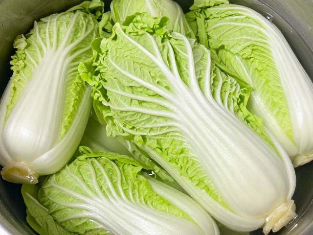 储存与食用场景：延长保鲜与提升体验