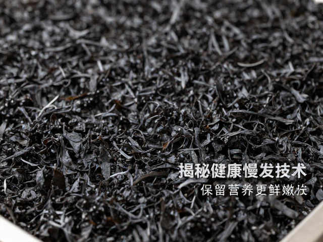 低温烘干与慢发技术的工艺逻辑