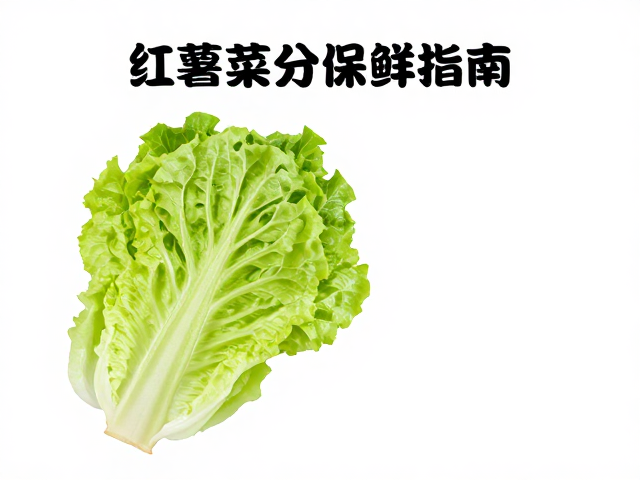 锁住水分的物理保鲜与低温管理