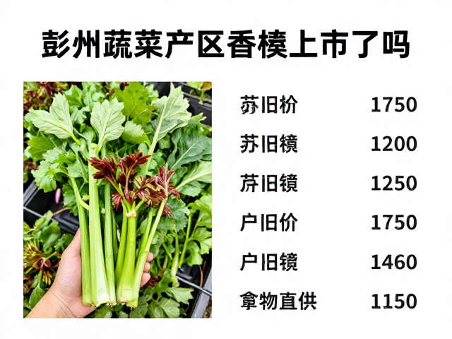 彭州蔬菜产区芹菜香椿上市了吗？最新价格与产地直供行情