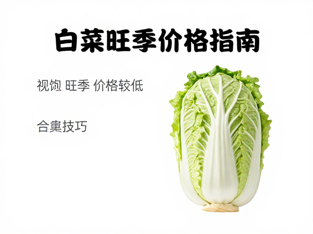 家庭囤货与保鲜存储方案