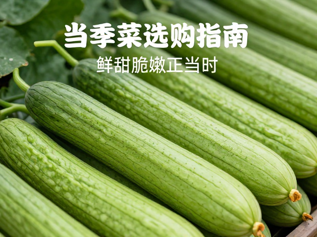 挑选优质丝瓜的实用技巧