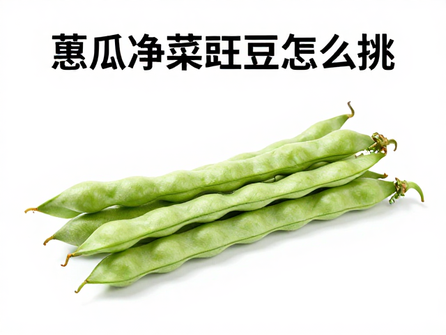 挑选新鲜豇豆的核心标准
