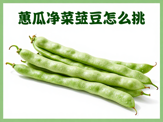 科学清洗与去污指南