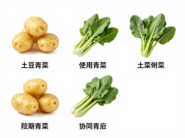 营养搭配的科学逻辑与协同效应