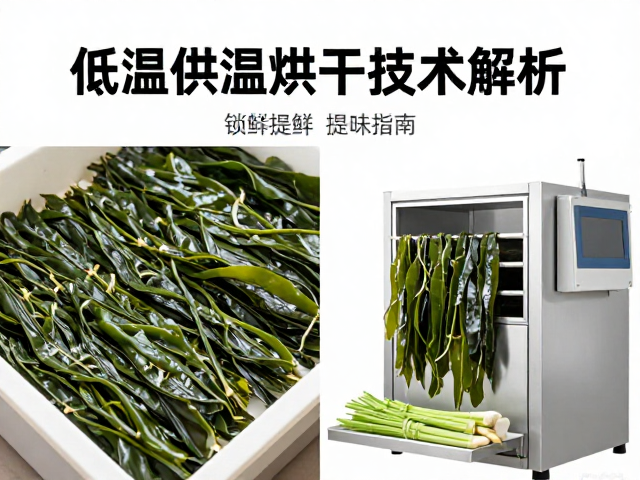 干海带低温烘干的核心原理与设备参数