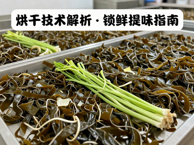 标准化操作流程与关键控制点