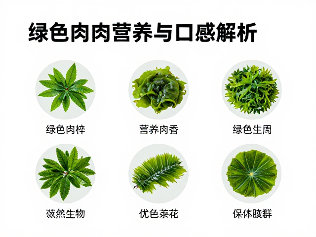 营养组分优化与生物利用率分析