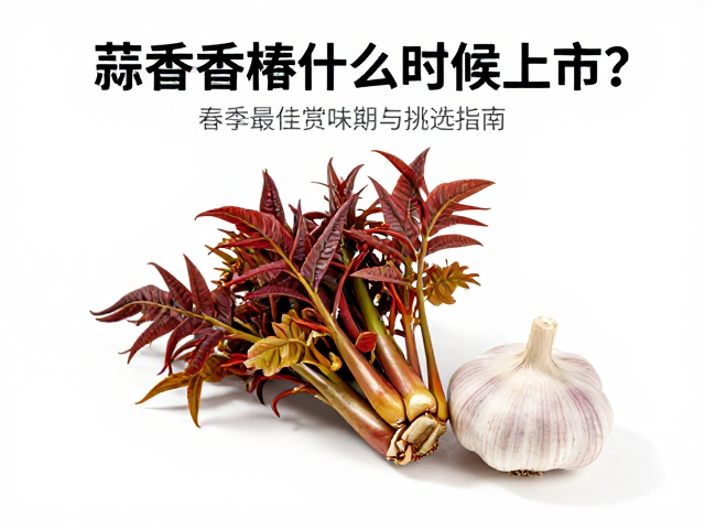 蒜香香椿的科学处理与安全食用