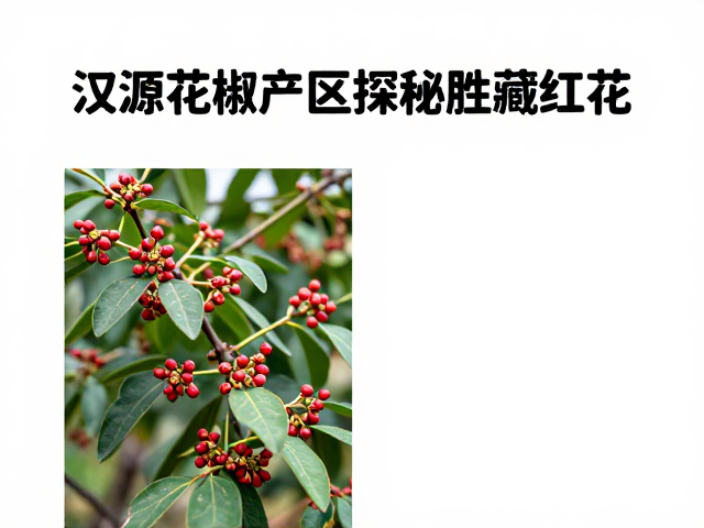 价值对比的逻辑误区与理性认知