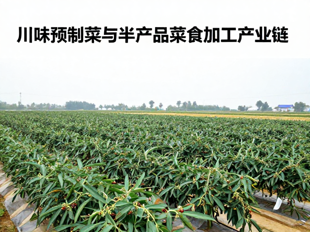 产业链上游种植端的标准化管控体系