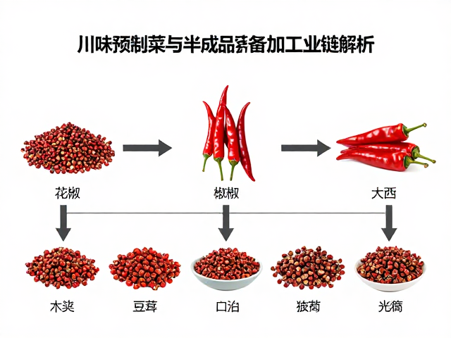 下游市场应用场景与产品形态创新