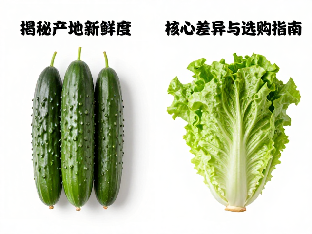 科学选购与家庭保鲜的实用策略
