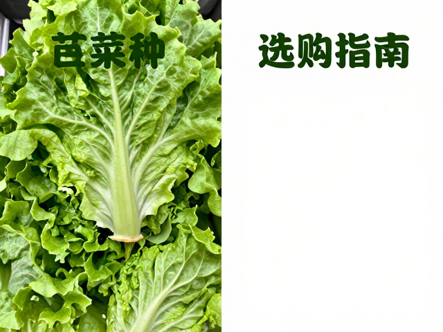 新鲜度维度的多维解析与感官识别