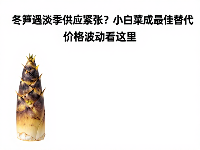 价格波动背后的成本与流通逻辑