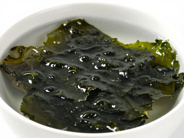 干紫菜泡发后的保鲜周期与储存环境