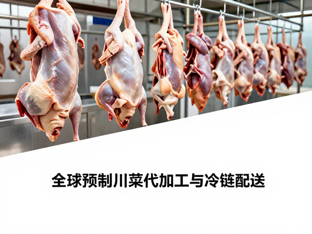 禽类屠宰与深加工的一站式服务体系